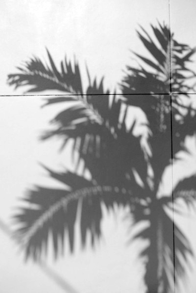 212-400x598