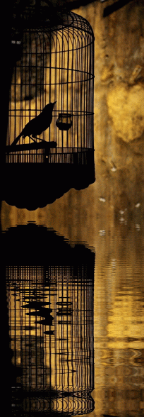 tumblr_mpo8uqGy6U1rtb8sko1_400