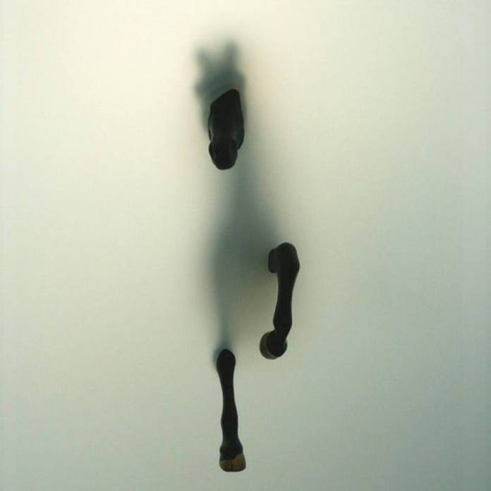 1560532_10152158665922969_1646044886_n