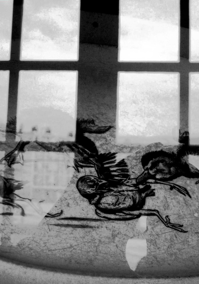 Assiette, Firminy 2001 Gilles Dallière