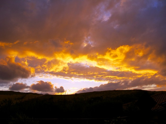 Hossegor 2014 Gilles Dallière