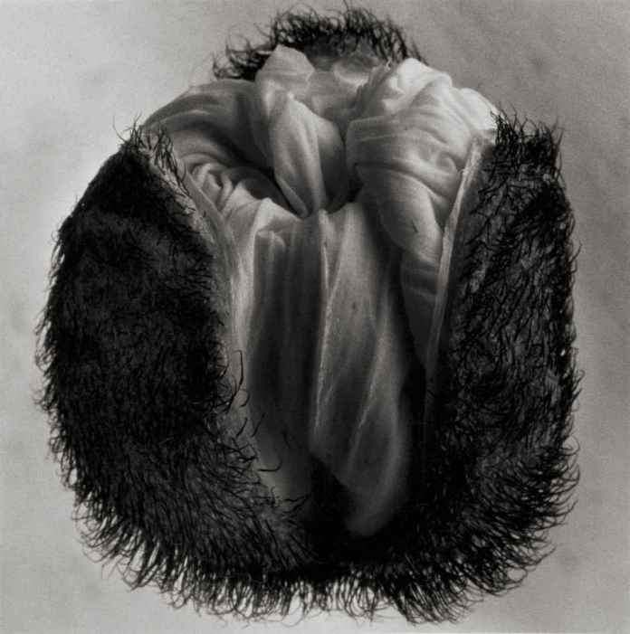 5452003fd4923-yuriko-takagi-4