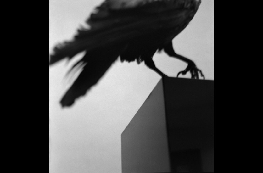 aga05-tt-width-836-height-550-fill-1-bgcolor-000000