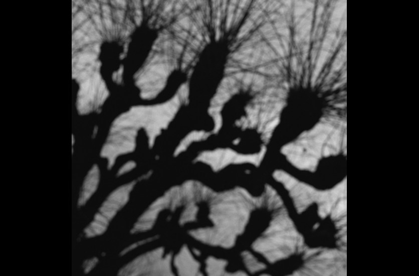 aga07-tt-width-836-height-550-fill-1-bgcolor-000000