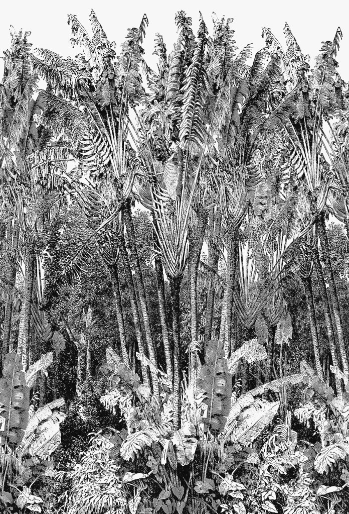 77321039_LARBREDUVOYAGEUR