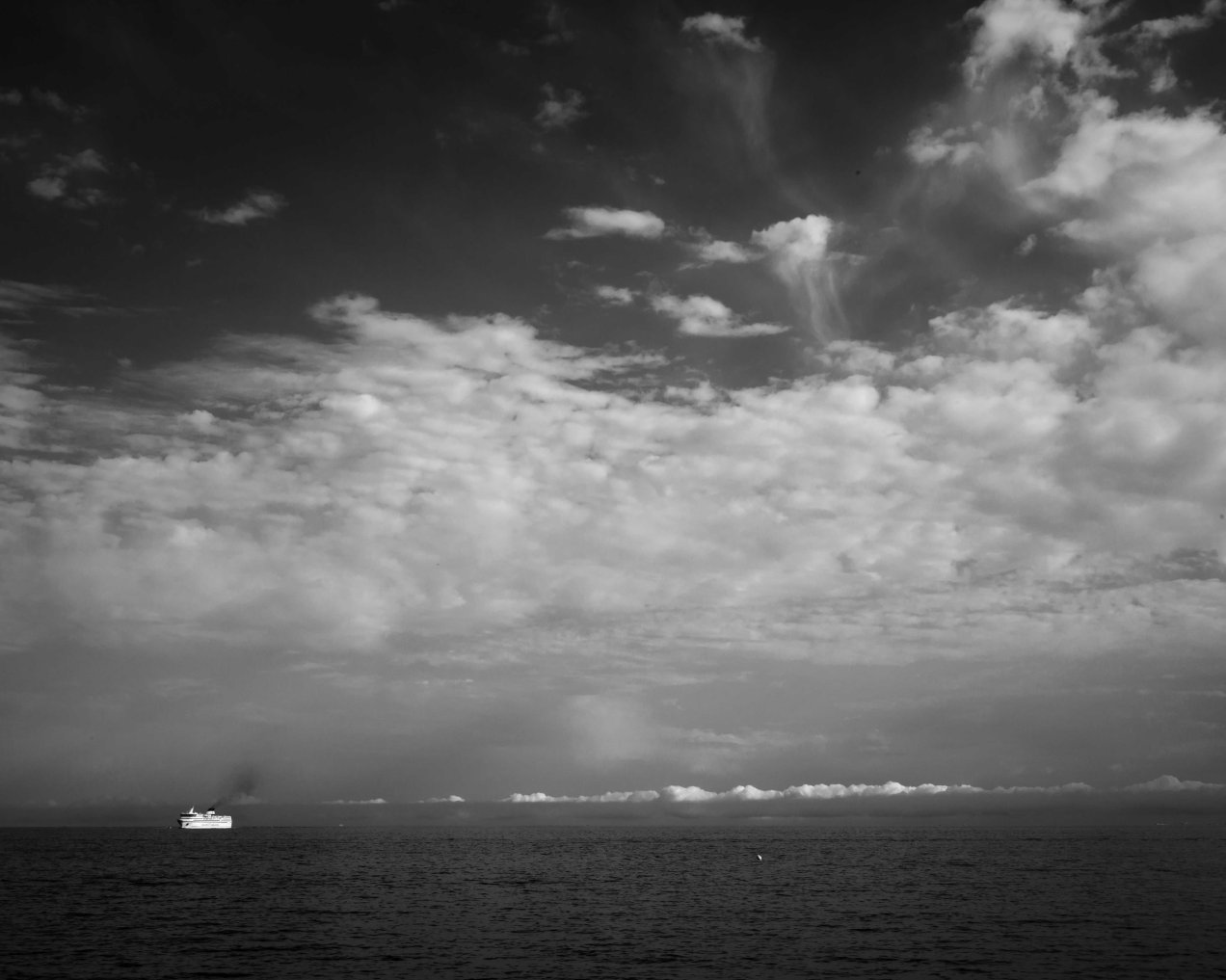 la nave va, Nice, gildalliere, 2017-Modifier.jpg