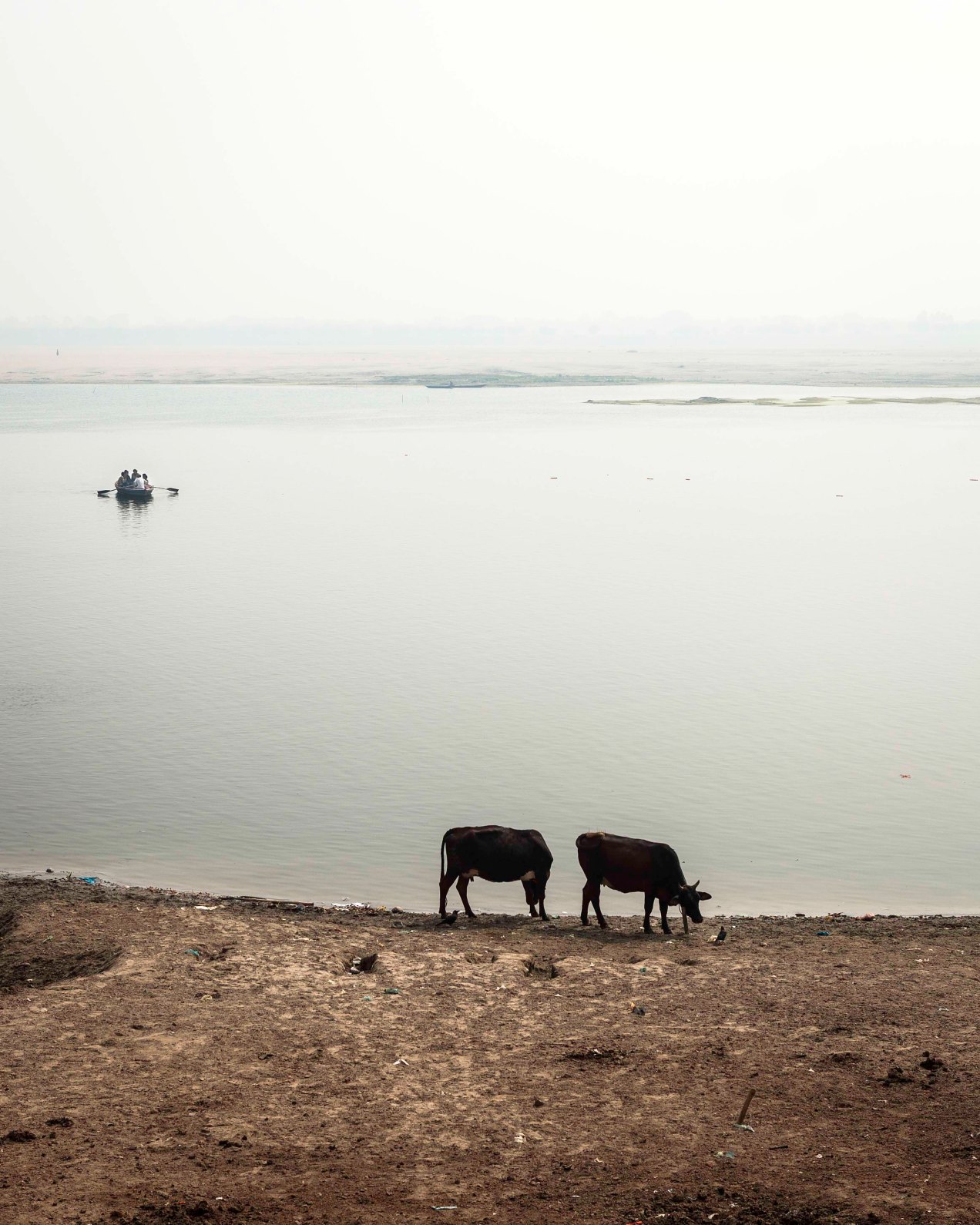 Le Gange, Varanasi, gildalliere, 2008