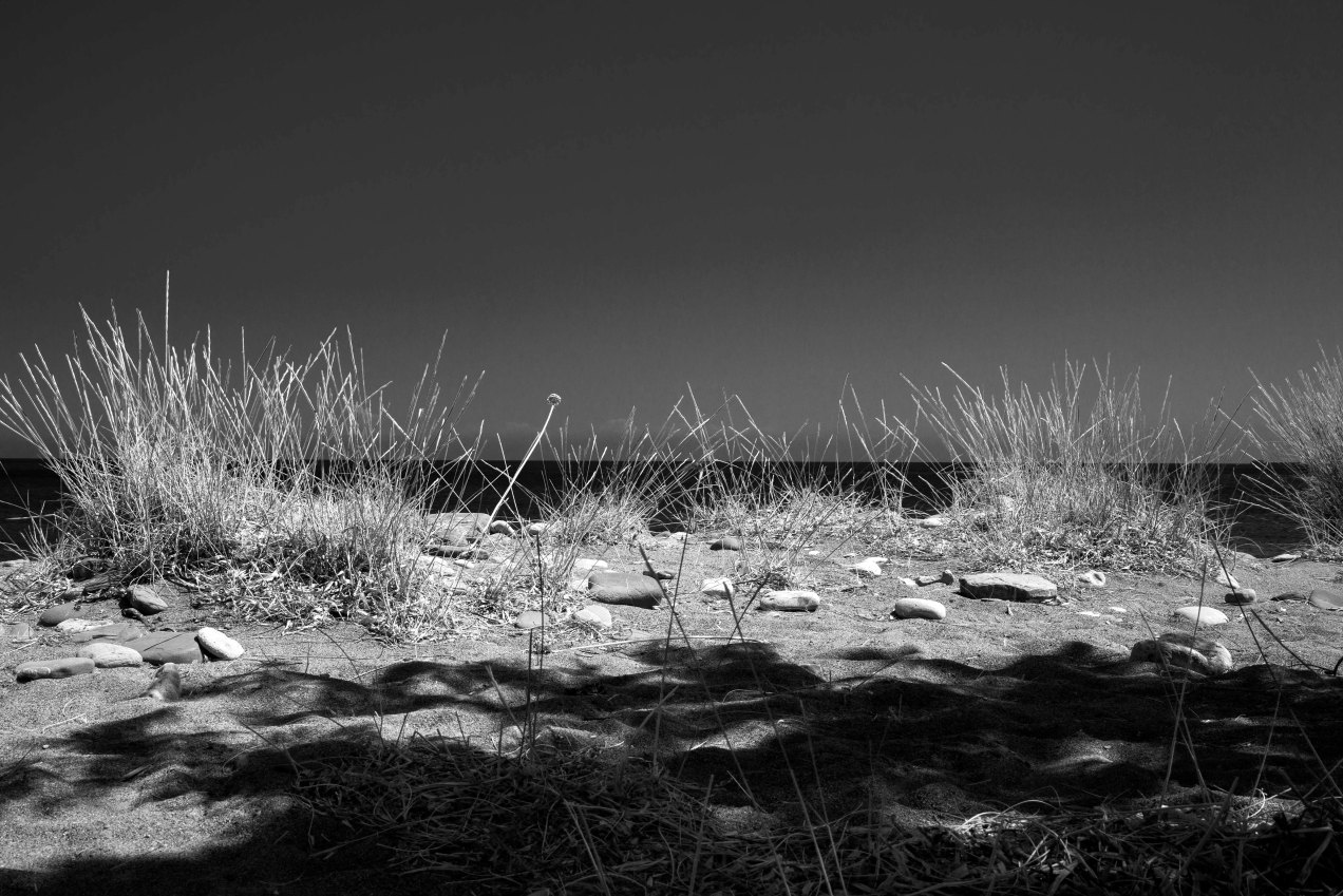 palaiopoli, cythère, gildalliere, 2018-Modifier.jpg