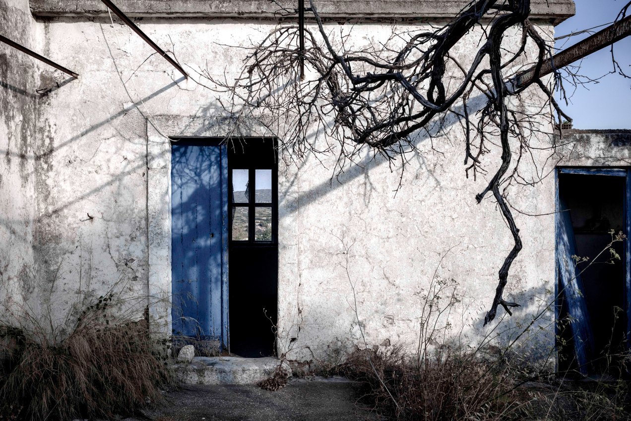 Viaradika, cythère, gildalliere, 2018-Modifier.jpg