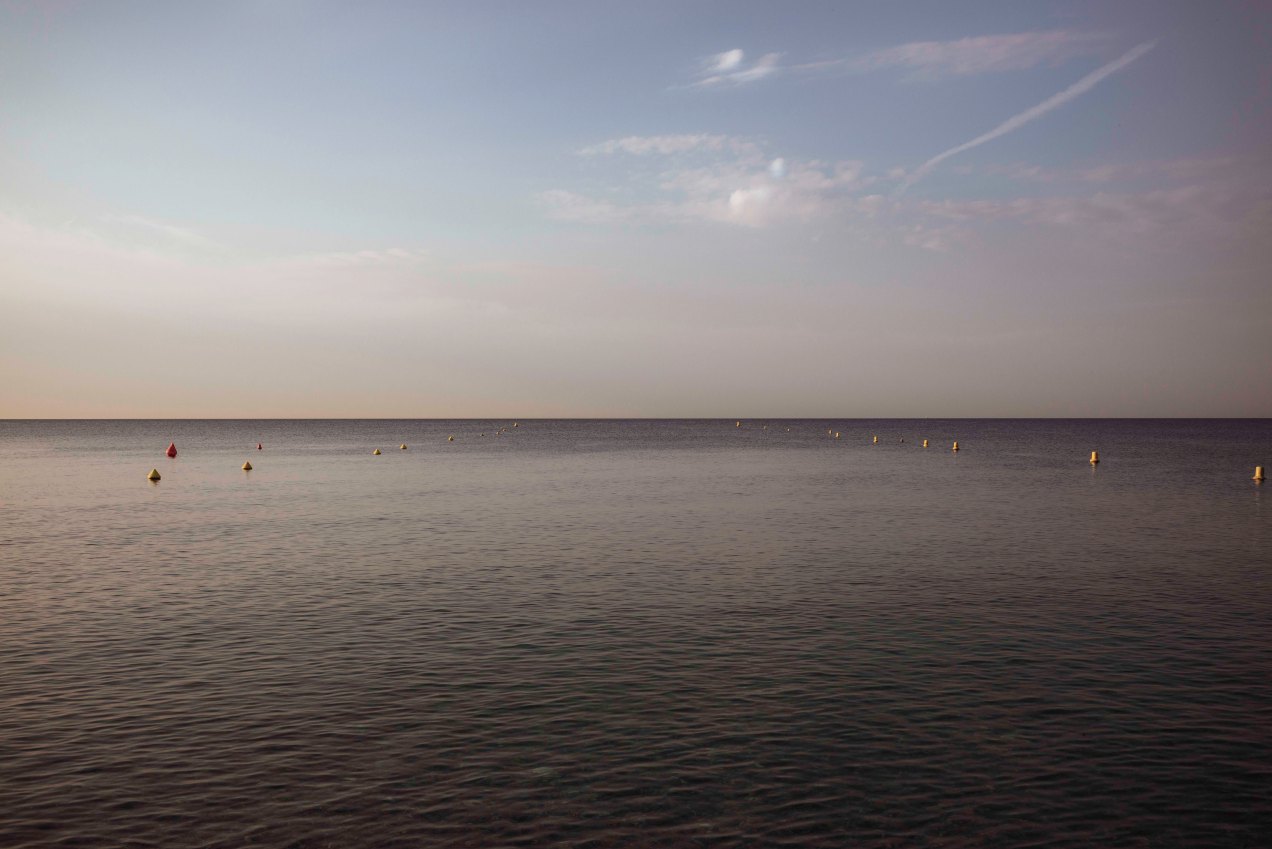 Sfumato, Nice, gildalliere, 2018