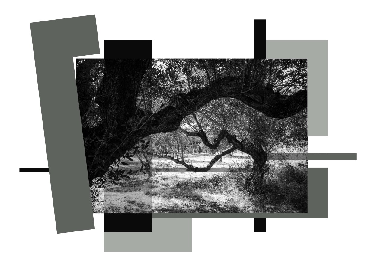 Paleopoli, gildalliere, 2018 copie 4