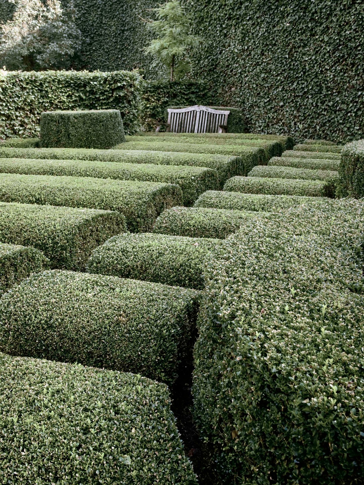 uil, jardin de topières, gildalliere, Belgique 2011