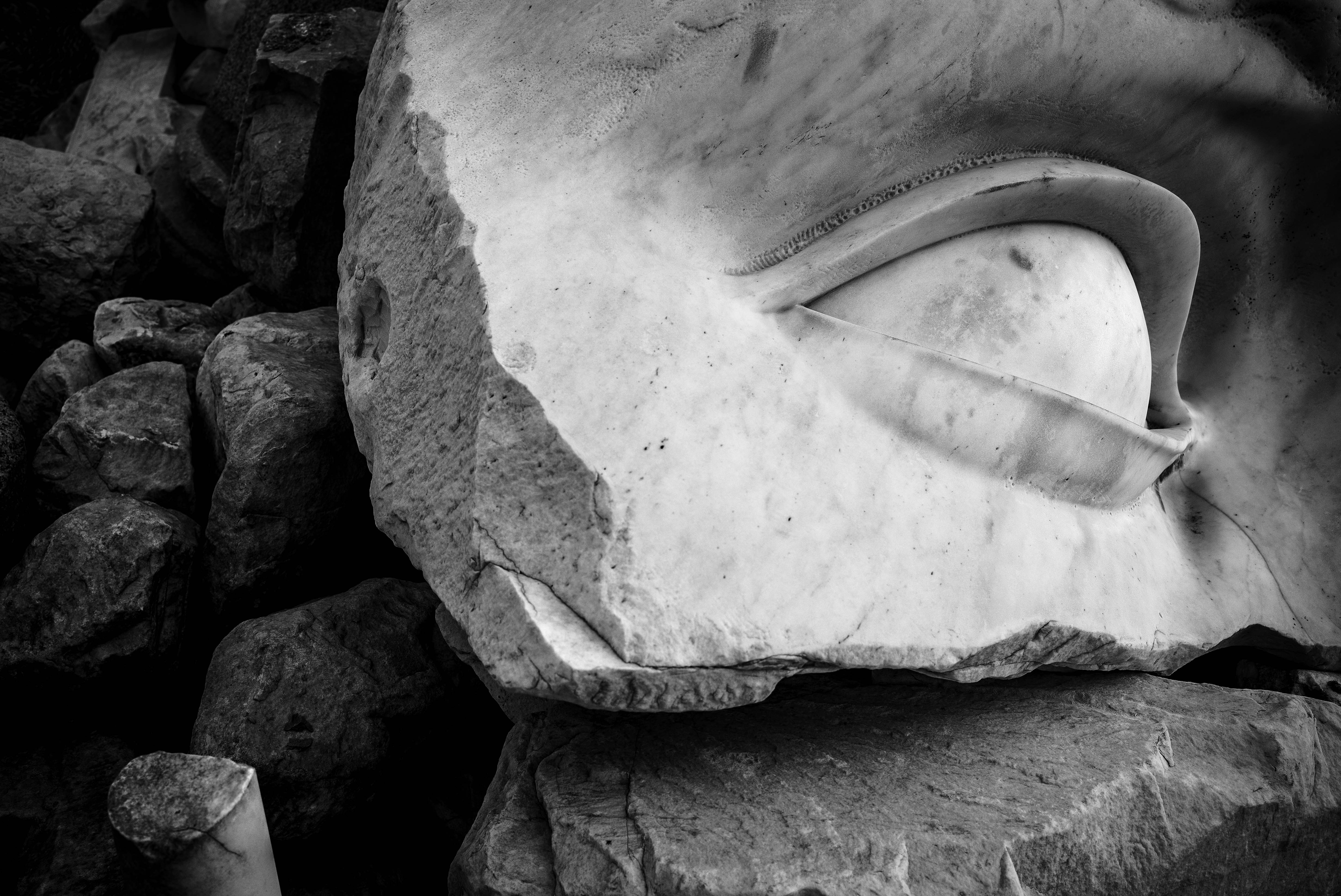 Anne et Patrick Poirier, Jupiter et Encelade, Antibes, gildalliere, 2018