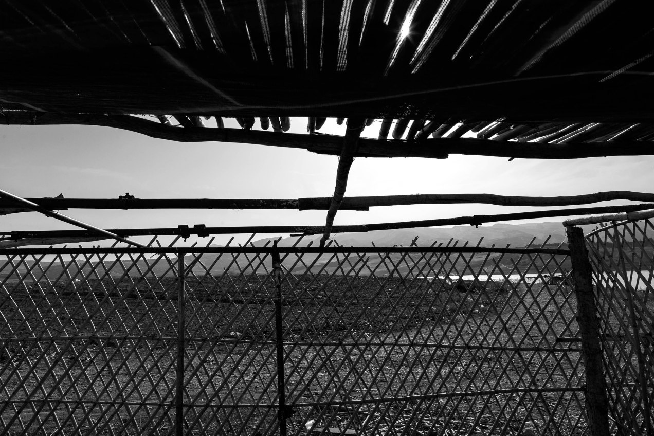 Fès, gildalliere, 2014