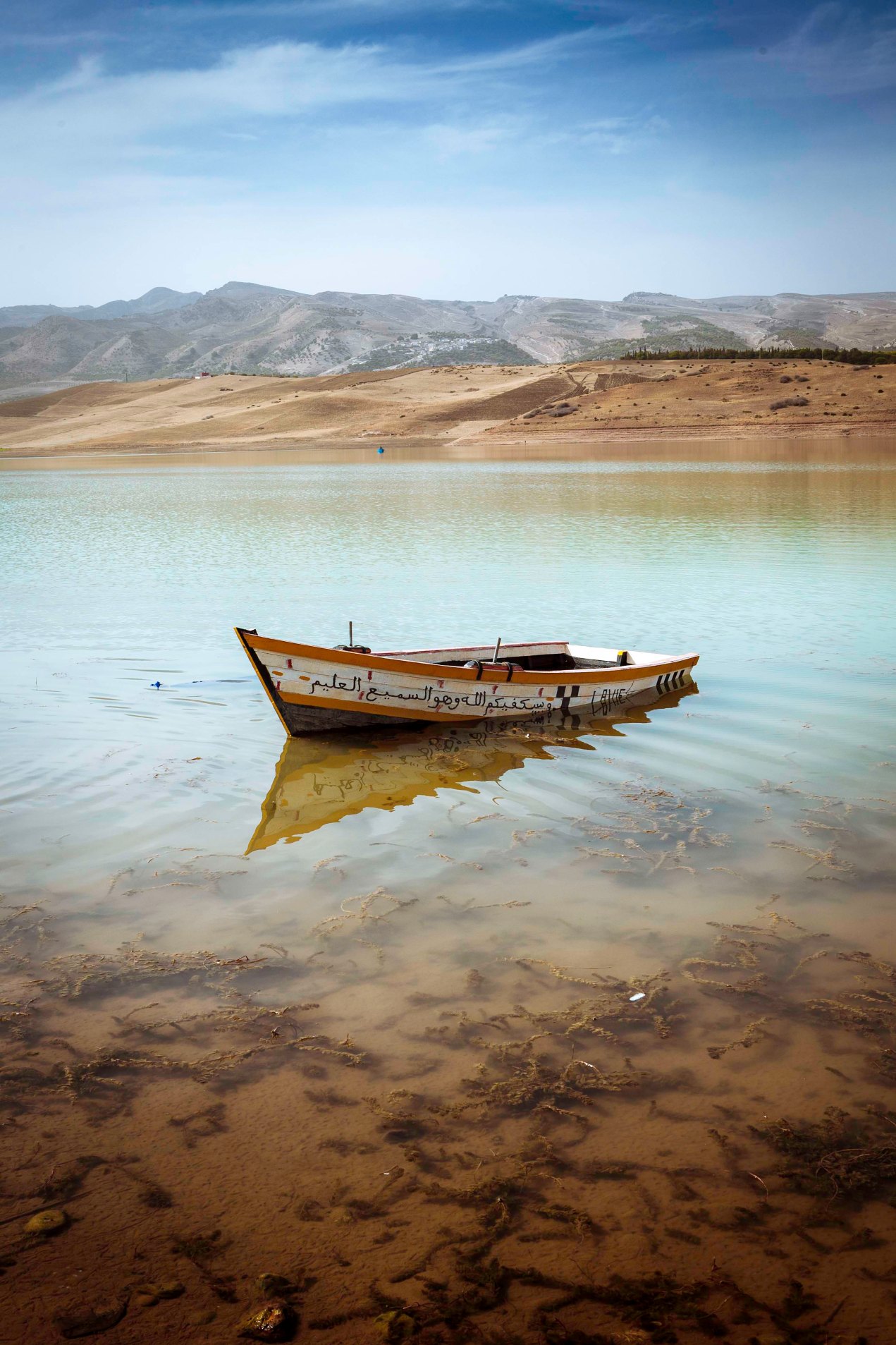 Sidi chahed, Fès, gildalliere, 2014