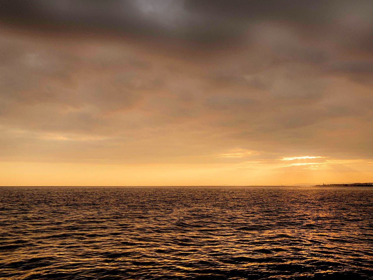 1 janvier 2019,Nice, gildalliere 2019