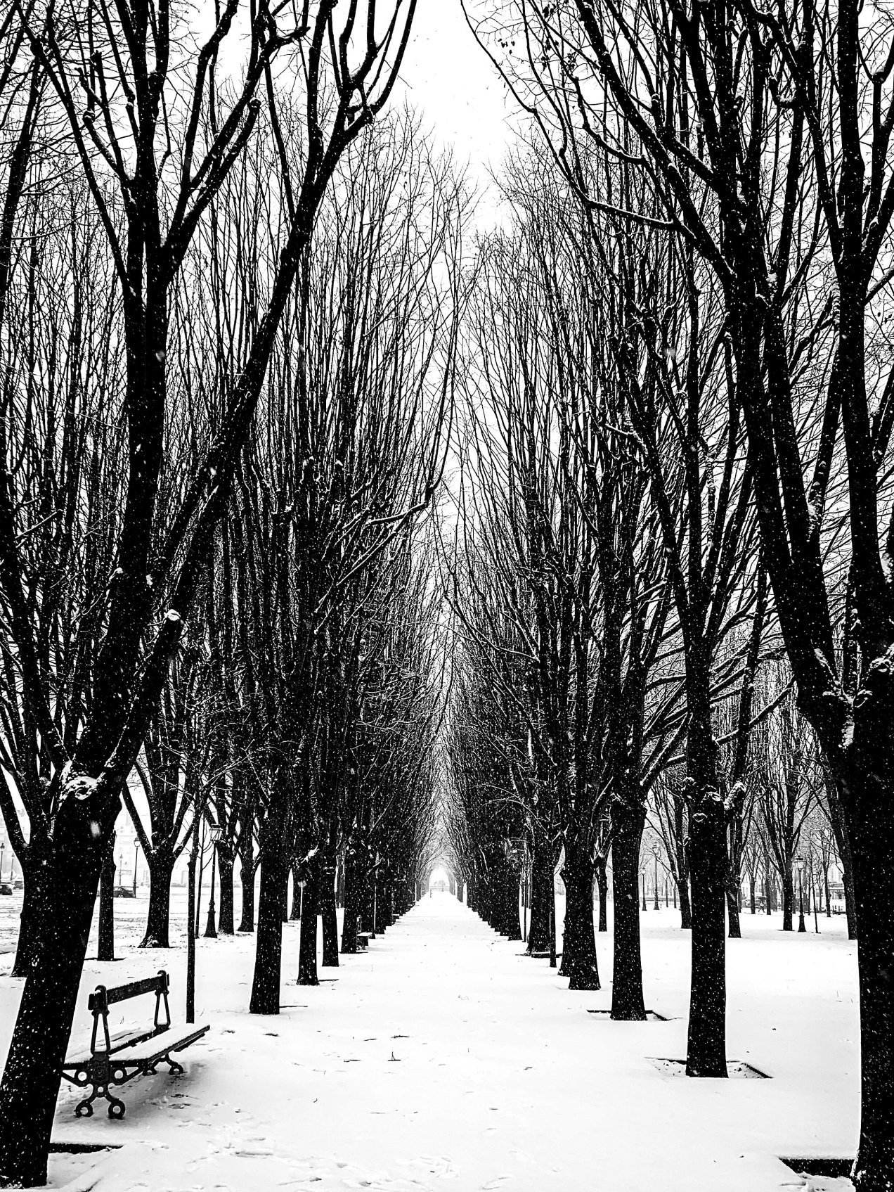 Paris sous la neige, gildalliere, 2019