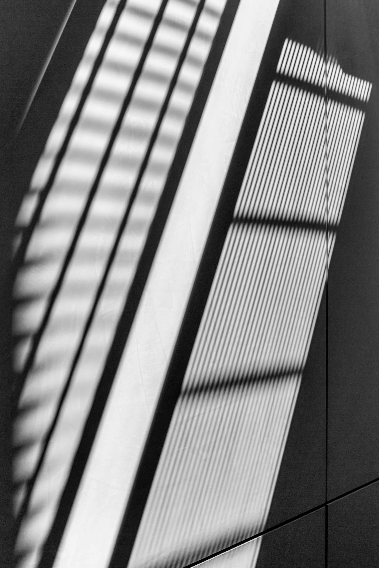 Projection, gildalliere, 2014