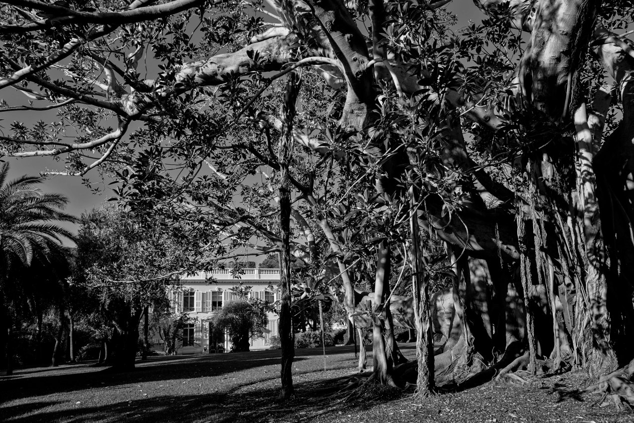 Villa Nellcote,Saint-Jean-cap-Ferrat, gildalliere, 2013.