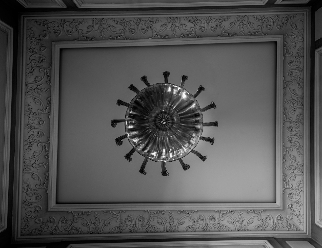 Accroché au plafond, gildalliere, Malakoff, 2019