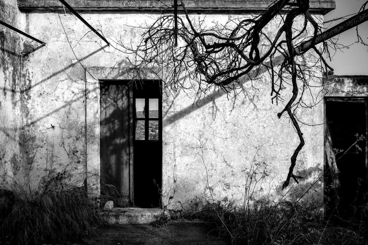 Viaradika, cythère, gildalliere, 2018