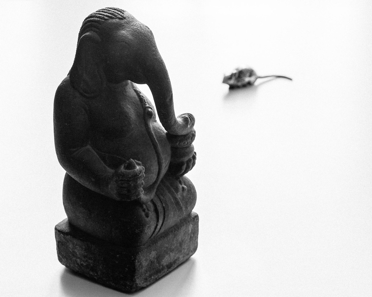 Ganesh, Nice, gildalliere, 2020