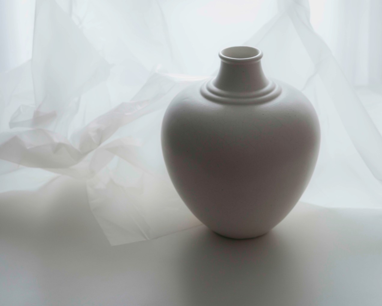 Nature morte, vase 1930 blanc, gildalliere, Paris, 2020