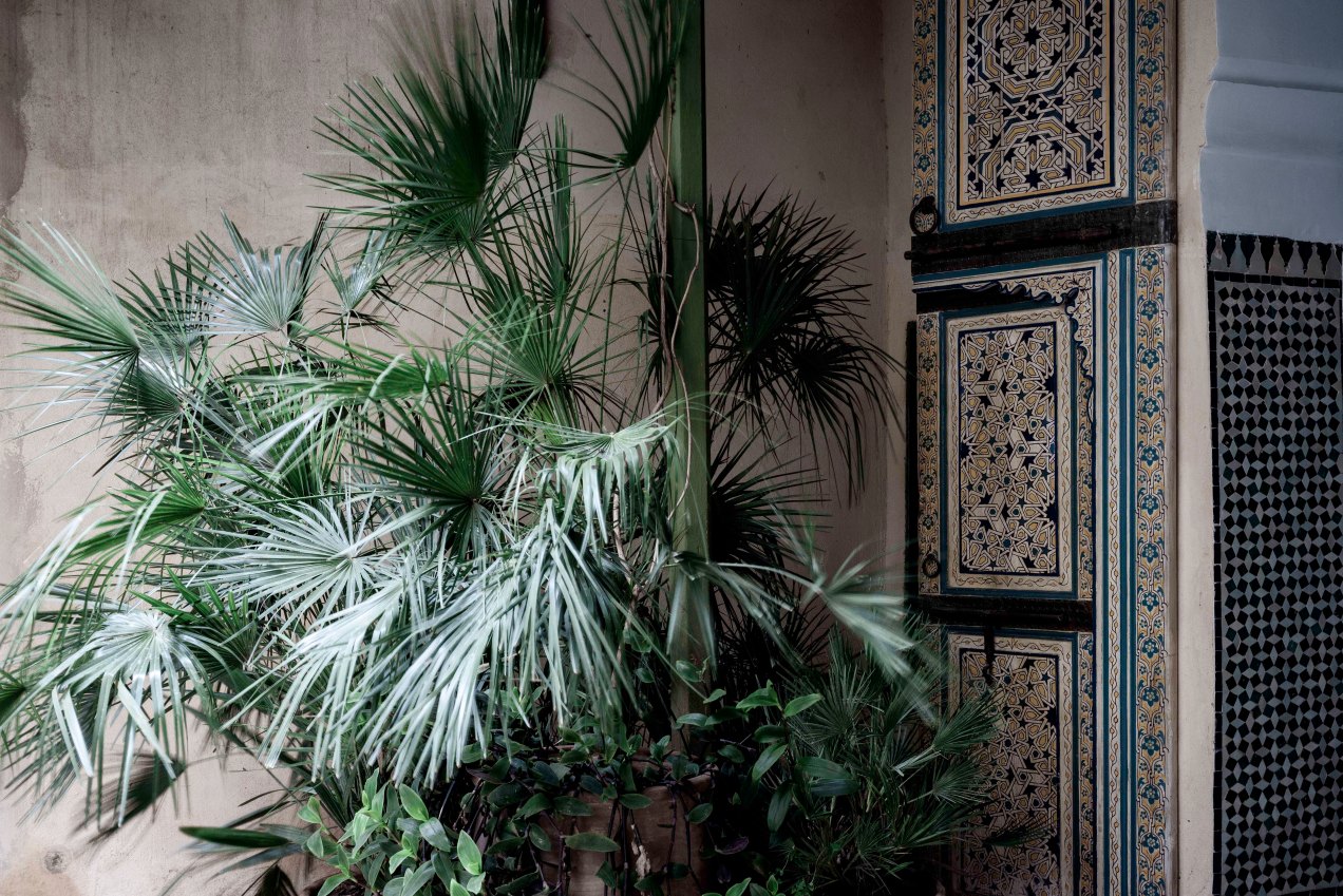 Le jardin des Biehn, la cour, Fès, Maroc, 2020