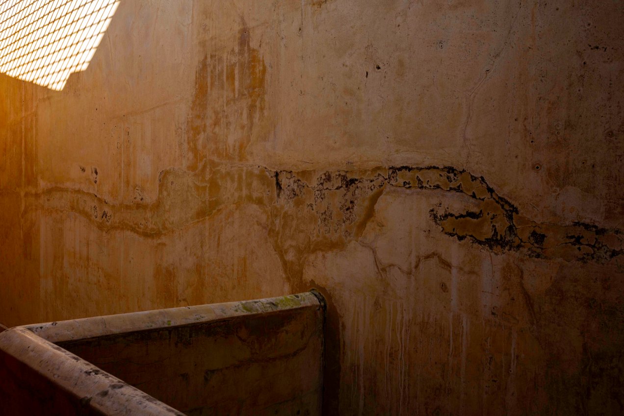 Medersa Attarine, Fès, gildalliere, 2020