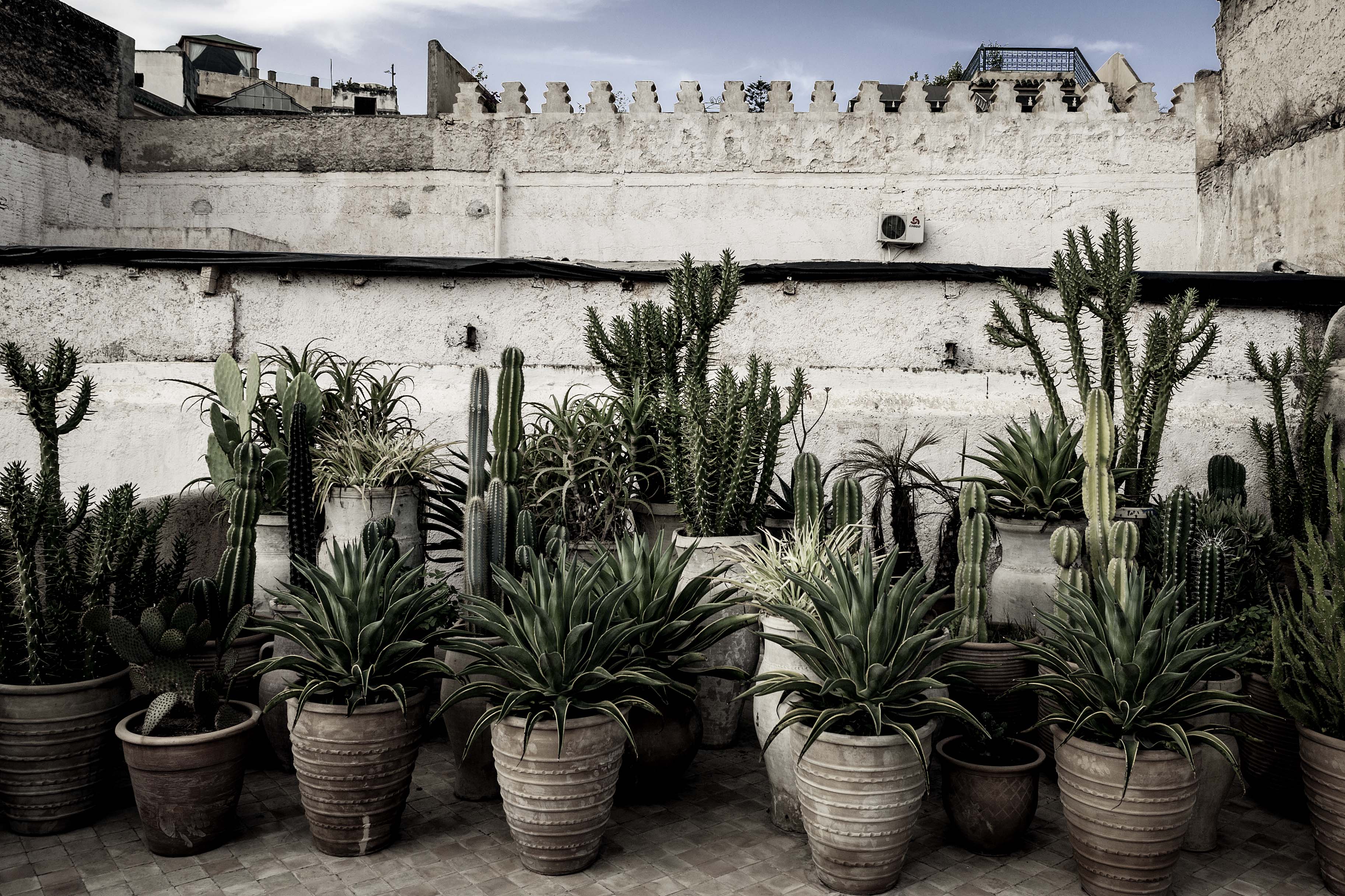 La terrasse, jardin des Biehn, Fès, Maroc, gildalliere, 2014