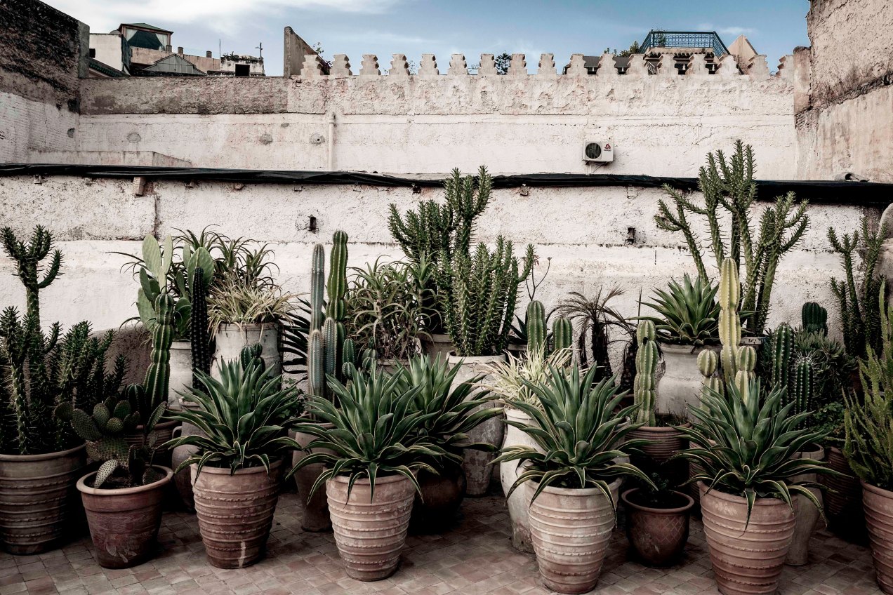 La terrasse, jardin des Biehn, Fès, Maroc, gildalliere, 2014