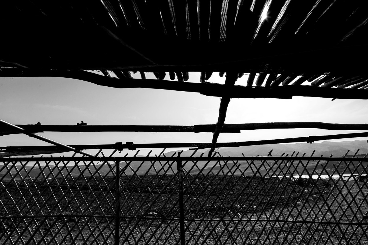 Fès, gildalliere, 2014