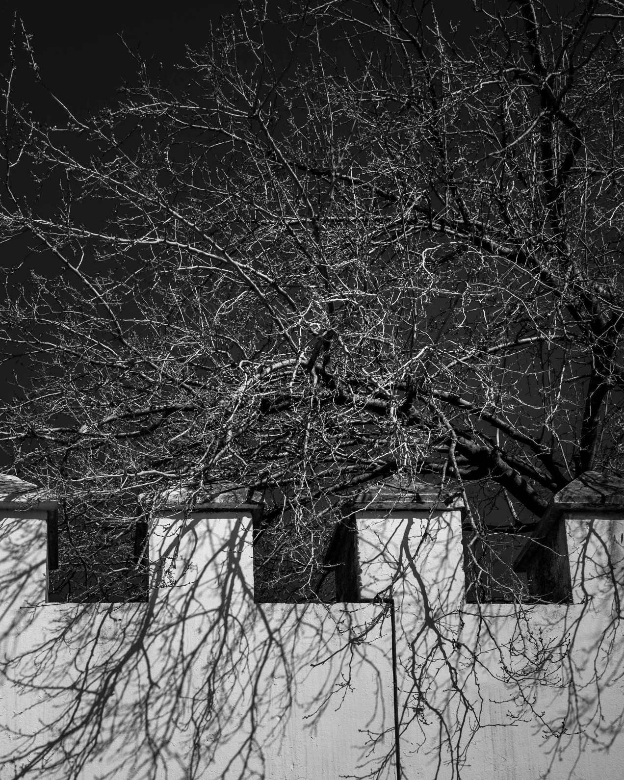 Les remparts de Fès, Maroc, gildalliere, 2020