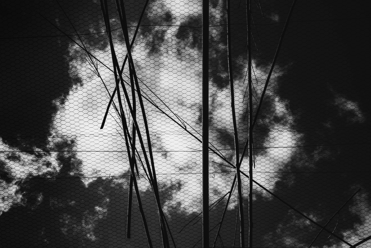 Le paradis perdu, Cythère, gildalliere, 2017